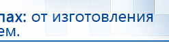 ДЭНАС-Остео купить в Горно-алтайске, Аппараты Дэнас купить в Горно-алтайске, Дэнас официальный сайт denasolm.ru